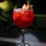 Gin Frutado