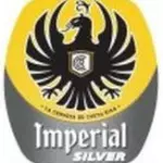 Imperial Silver 355 ml vidrio
