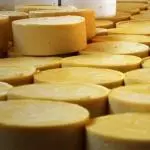 Parmesão  Fresco Mantiqueira