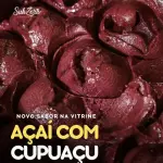 Açaí com cupuaçu ZERO LACTOSE