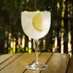 GIN LEMON GINGER