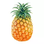 PIÑA COLADA