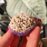 Brigadeirão de ferrero 20g