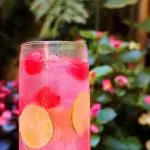 Tom Collins
