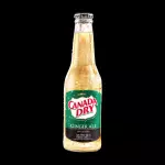 GINGER CANADA DRY