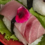 N2 MAGURO