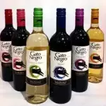 VINHO GATO NEGRO