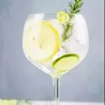 Tanqueray tônica
