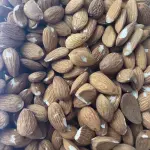 Almendra con daño