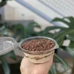 TIRAMISU LOW CARB