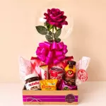 CAIXOTE DE LUXO ROSA