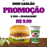 X EGG +guaracamp