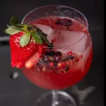 GIN TÔNICA COM FRUTAS VERMELHAS