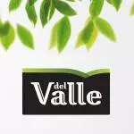 Del valle frutas cítricas 450ml