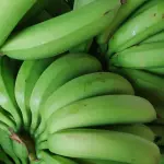 BANANA NANICA AGROECOLÓGICA