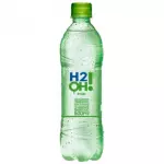 H20