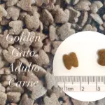 GOLDEN GATO ADULTO CARNE 1KG