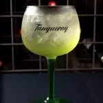 G&T Maça Verde