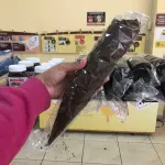 cascão black