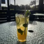 04- MOJITO FRUTAL
