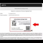 ACTUALIZACIONNDE NSS