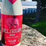 DELIRIUM 330cc RED 8.5° FRUIT BEER