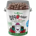 Yogurt Children Strawberry Rice