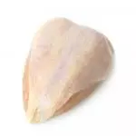Pechuga Entera Blanca
