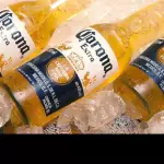 Corona Long Neck