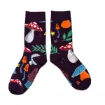 Cogumelos