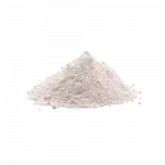 Leite de Coco em Pó - 100g