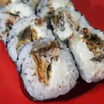 FUTOMAKI SKIN 10 UND