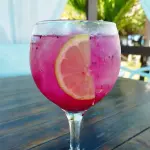 Pitaya Gin