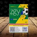 Ziggy Brasil