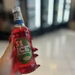 ICE 51 MELANCIA LONG NECK