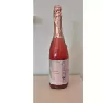 ESPUMANTE DE KOMBUCHA