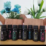 Essencias Via Aroma 10ml Mundo