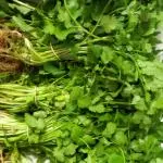 CULANTRO CASTILLA ROLLO GRANDE
