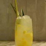 GASIFICADO CÍTRICO