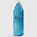 Agua ciego montero