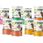 Paté para perros y gatos