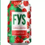 FYS GUARANA 350ML
