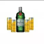 GIN TANQUERAY
