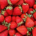 FRESA PREMIUM  CAJA GRANDE