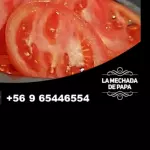 Completo Especial tomate