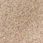 PSYLLIUM