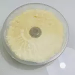 Pudim de leite Grande 1100gr