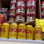 6 Lata Skol