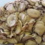 CEVICHE DE GORRO