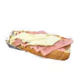 Perro Salvador